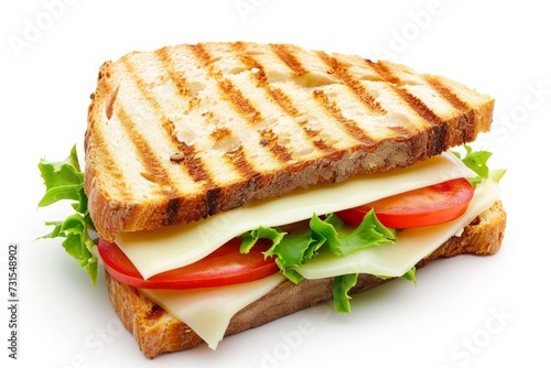 Cheese sandwich on white background