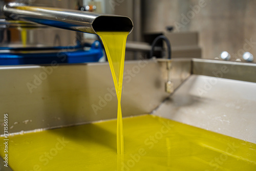 Organic grown olive oil, extra virgin, from Istria, Croatia, Mediterranean, pure vegan, vegetarian