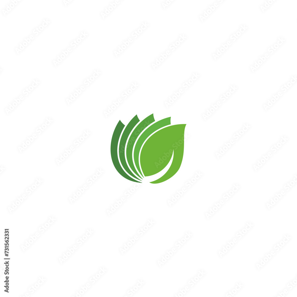 Green leaf logo design isolated on white background