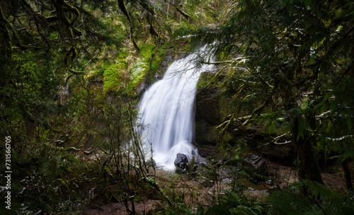 Hidden waterfall tucked into the lush green forest of the Pacific Northwest