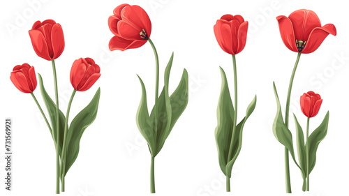Set of plastic red tulip flowers with stem  and leaves.