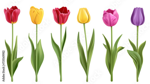 3d render illustration of plastic tulip flowers set with stem, and leaves isolated. #731569982