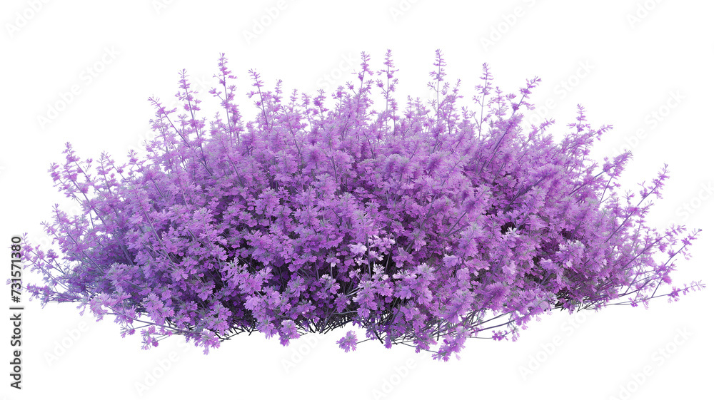 Obraz premium bush of delicate turquoise flowers, isolated on transparent background