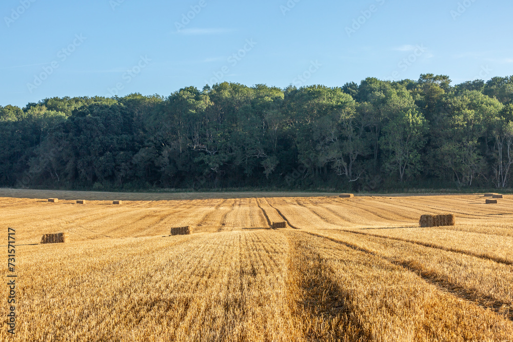 A view over farmland in Sussex on a sunny late summer's day, with straw bales in a field