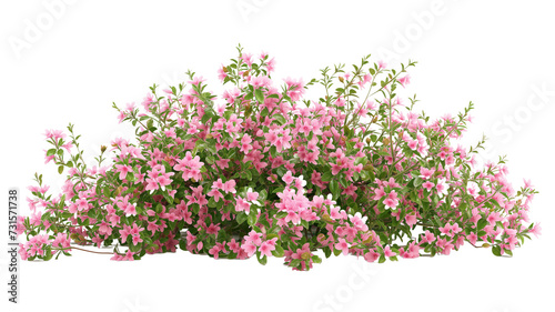 Fototapeta Naklejka Na Ścianę i Meble -  imagine bush of flowers isolated on transparent background