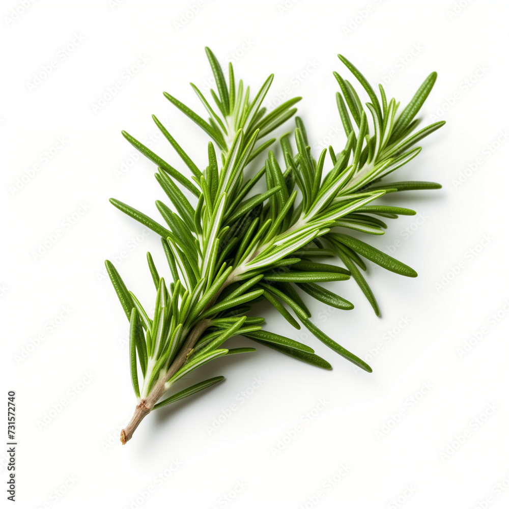 Fototapeta premium Rosemary Reverie Imagery Showcasing Whole and Chopped Rosemary on a Pure White Canvas