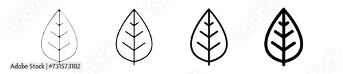 Icones symbole logo feuille arbre detail photo