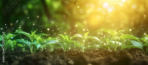 Sprouting seedlings in sunlit soil  a symbol of growth and eco-friendly agriculture. vivid  green  refreshing image. AI
