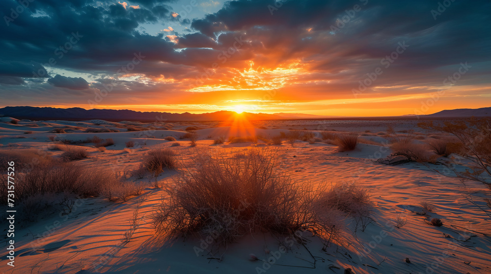 Sunset in the desert, landscape