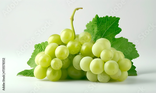 White grapes with leaves. Isolated drawing with fruit. 