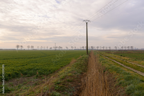 Fields and meadows near Arles in winter