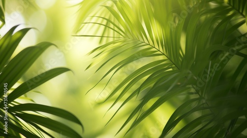 Close Up of a Green Leafy Plant