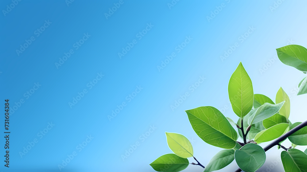 Obraz premium Green leaves eco friendly background with copy space for text