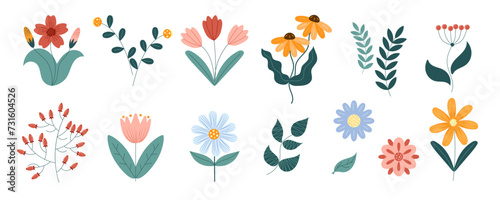 Botanical set with flowers, leaves, plants. Cute Sprung and Summer Flower Collection, Daisy, Tulips, Chamomile, Berries, Leaves. Hand-drawn colorful vector illustration with texture photo