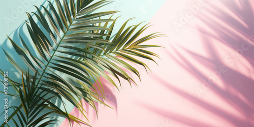 Top view palm tree branches leaves on pastel color background, Flat lay Minimal fashion summer holiday vacation concept © Black Pig