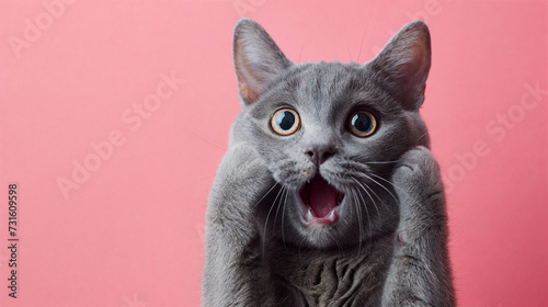 Surprised shocked cat face with paws on head on pink background with copy space.  AI Generative