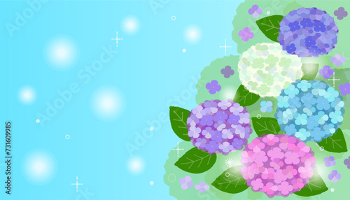 vector background image of colorful hydrangea flowers with rain drops
