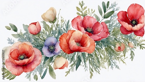 watercolor composition of poppies on a white background