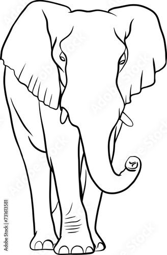 Elephant outline illustration on transparent background	
