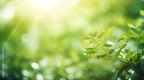 blurry soft bokeh green nature background with plants and leaves illuminated by sunlight in forest created with Generative AI Technology