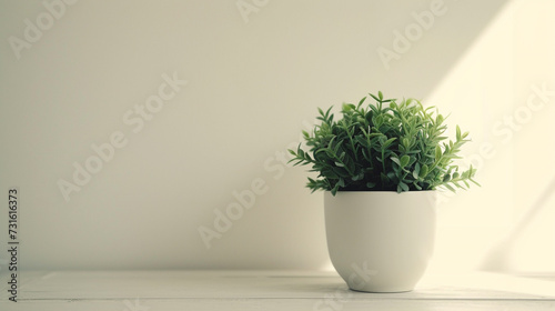 green plant pot on wooden table in a room