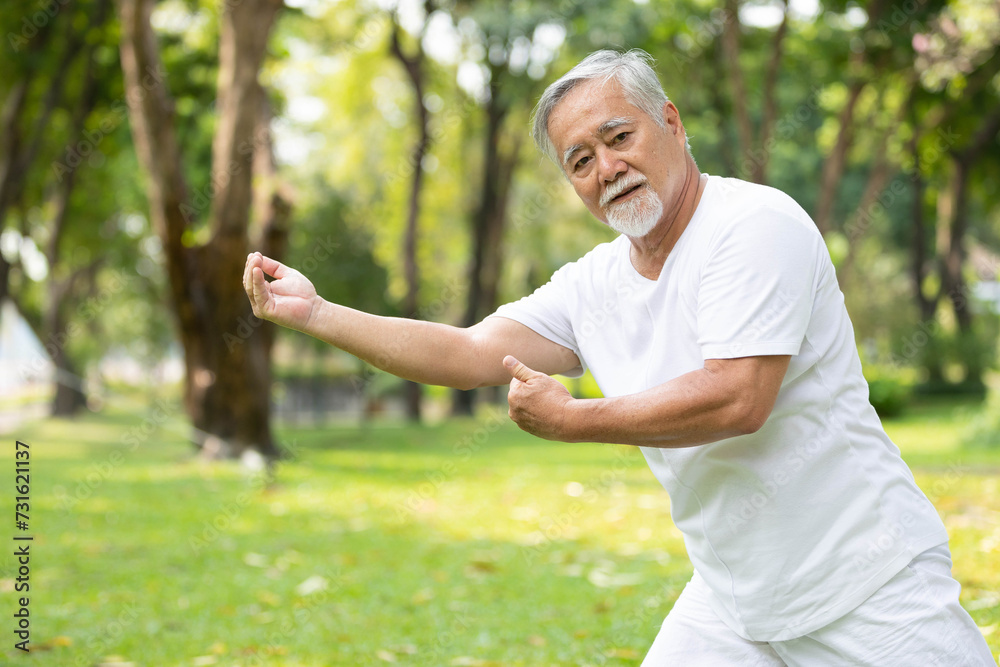 asian senior man workout and practice tai chi in the park asian senior man workout and practice tai chi in the park