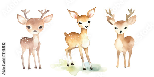 cute deer watercolor vector illustration © Finkha