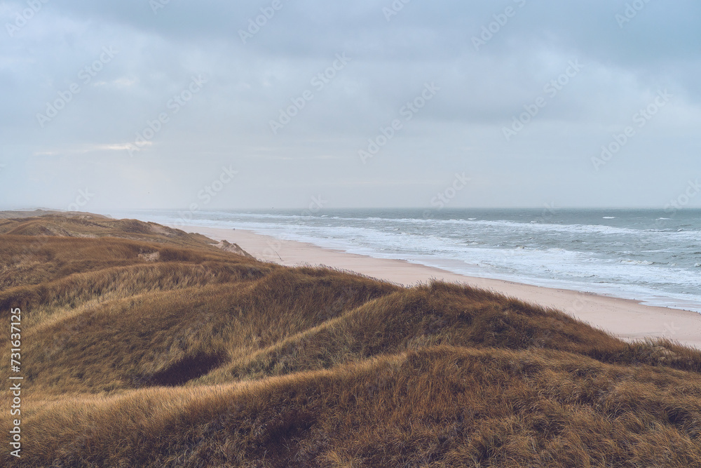 Dunes in bad weather at danish west coast. High quality photo Dunes in bad weather at danish west coast. High quality photo