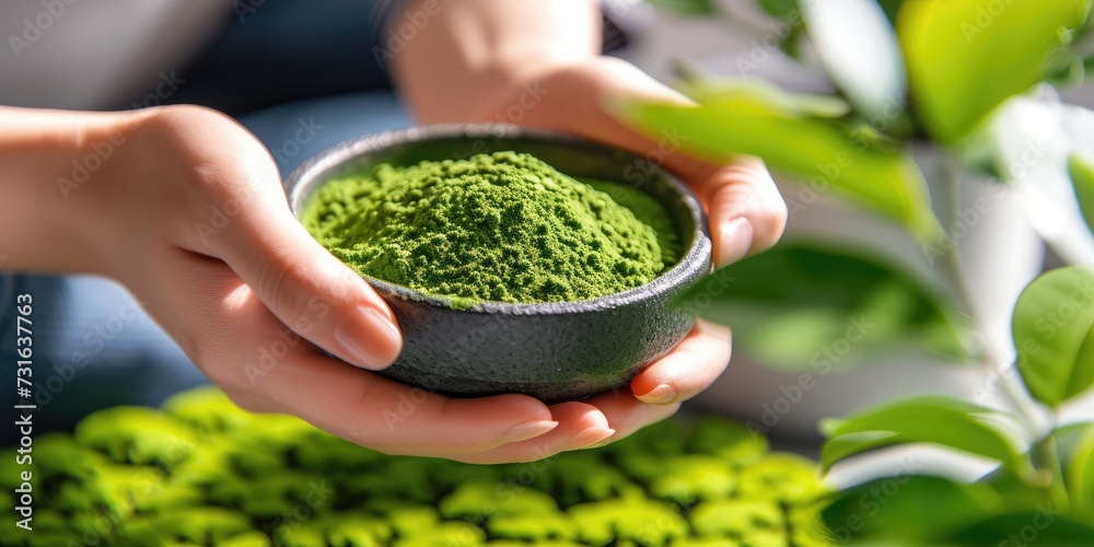 woman hand holding  matcha tea powder on bowl, prepare Japanese green Matcha tea