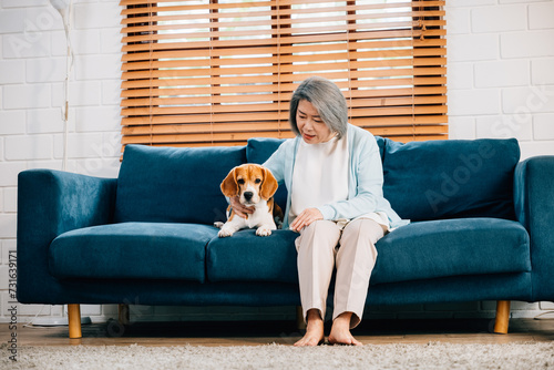 A heartwarming portrait, An elderly woman and her Beagle puppy share a moment of togetherness on the sofa in their living room. Their friendship and smiles radiate happiness and love. Pet love © sorapop