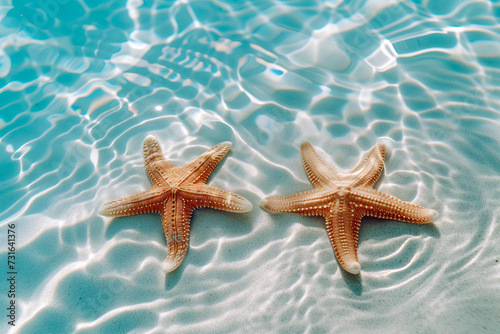A pair of starfish rest on the sunlit sandy bottom beneath clear, gentle ripples of water