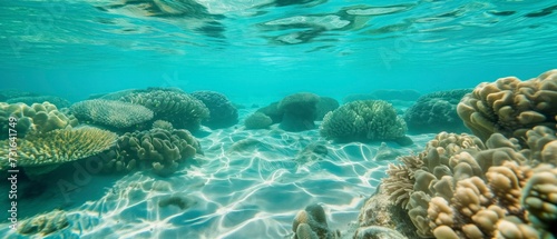 Vivid underwater seascape showcasing the beauty of a coral reef and the natural patterns of sunlight in water
