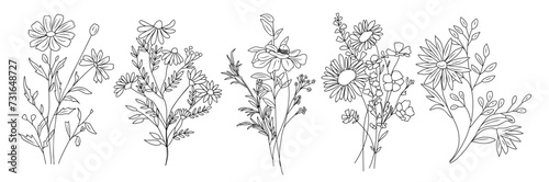 Wildflower line art bouquets set. Hand drawn flowers, meadow herbs, wild plants, botanical elements for arrangements, invitation, greeting cards, wall art, logo, tattoo design. Vector illustration.