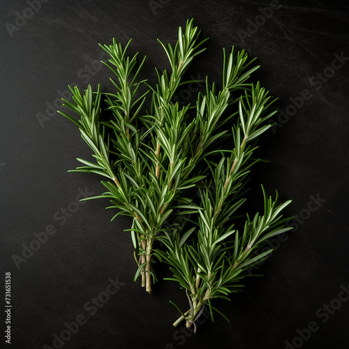 Fresh Rosemary Sprigs Arranged on Dark Slate Background: Culinary Elegance and Natural Aromatics