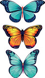 Realistic butterfly collection vector illustration.