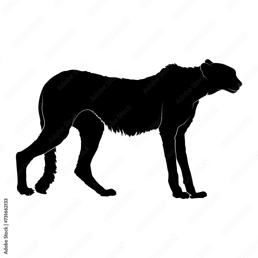 Cheetah fine silhouette