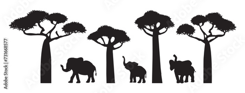 Fotografija silhouette of elephants and baobabs vector set