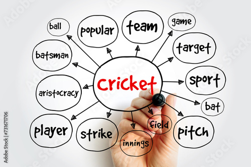 Cricket mind map, sport concept for presentations and reports photo