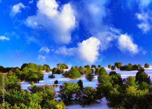 Aerial view of Deep Green Juniper Trees with White Snow, Blue Sky, and White Puffy Clouds