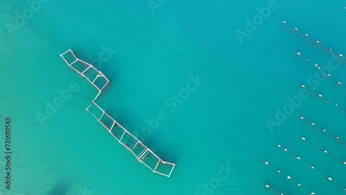 Aerial shot of mussels farms in the blue calm waters of the ocean during the daytime