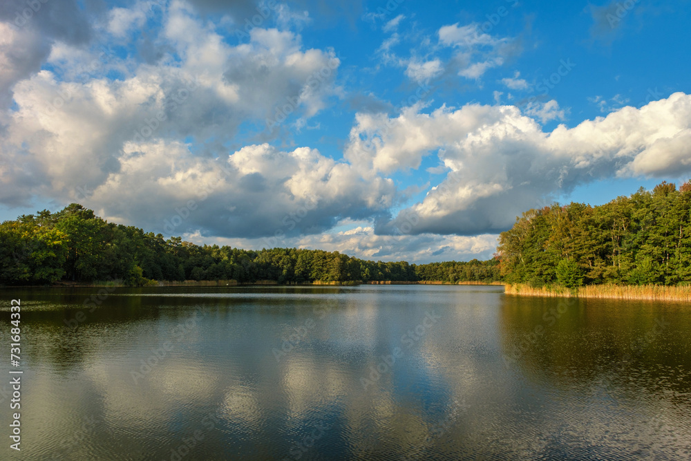 Obraz premium Natural landscape of the lake, high definition, the movement of waves against the background of the autumn forest. The reflection of clouds on the ripples of water. Germany.