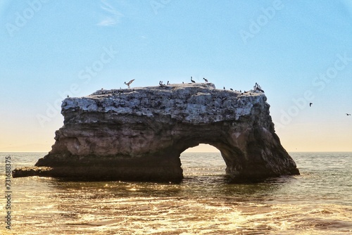 Scenic view of birds perched on a rocky island on a sunny day in Santa Cruz, California photo