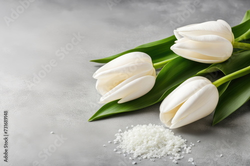 White Tulips with Space on Concrete