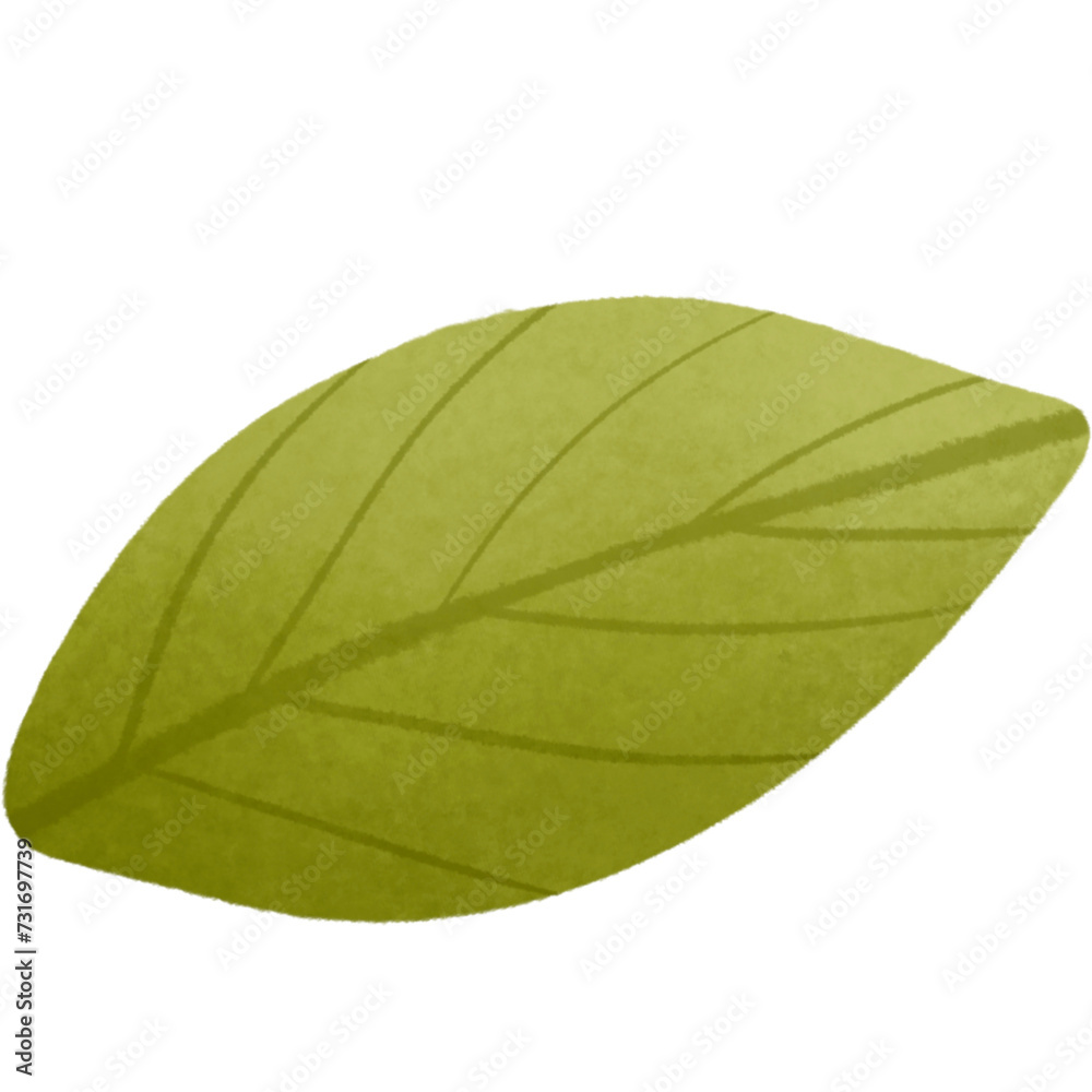 Obraz premium Lemon leaf