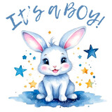 Baby shower illustration with rabbit Its a boy