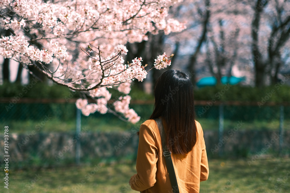 桜の花の香りを楽しむ女性 桜の花の香りを楽しむ女性