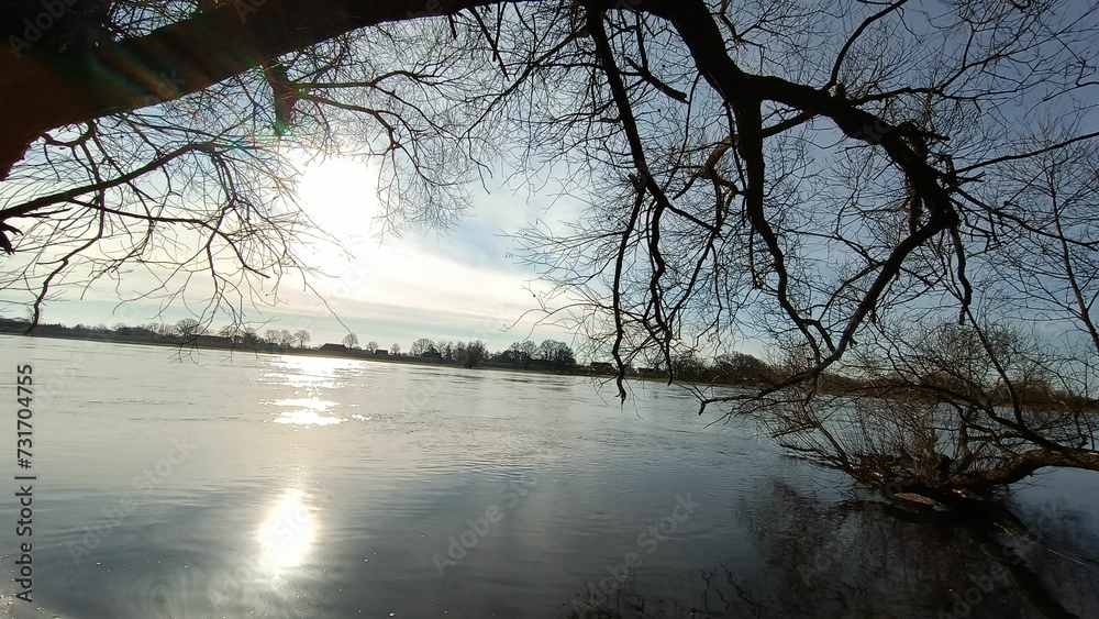 a large body of water sitting next to a tree in the middle of the sunset a large body of water sitting next to a tree in the middle of the sunset