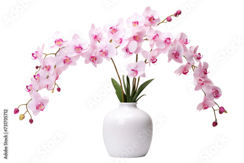 An Orchid Flower in a Vase Isolated On Transparent Background