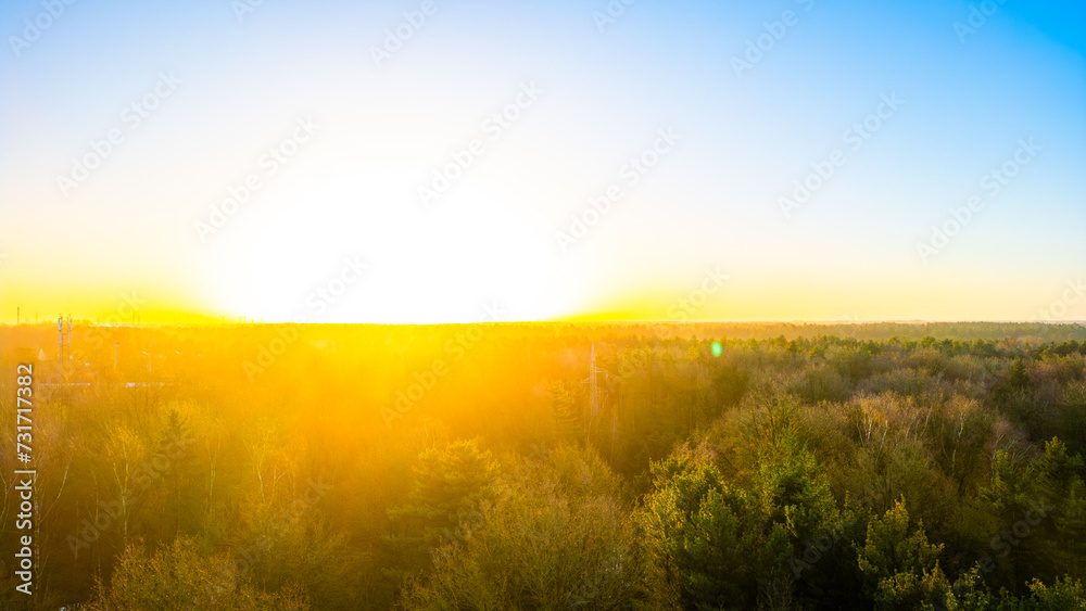 This image captures the breathtaking moment of sunrise as it blankets a vast forest with its golden glow. The sun, just at the horizon, spills its bright light over the treeline, casting a vibrant