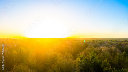 This image captures the breathtaking moment of sunrise as it blankets a vast forest with its golden glow. The sun  just at the horizon  spills its bright light over the treeline  casting a vibrant